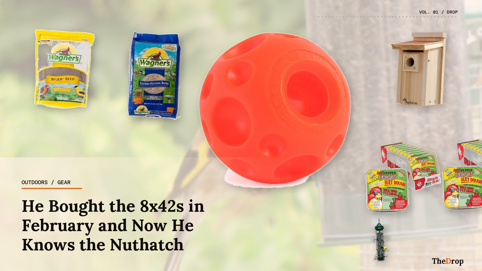 8x42s, a Feeder, and the Tufted Titmouse