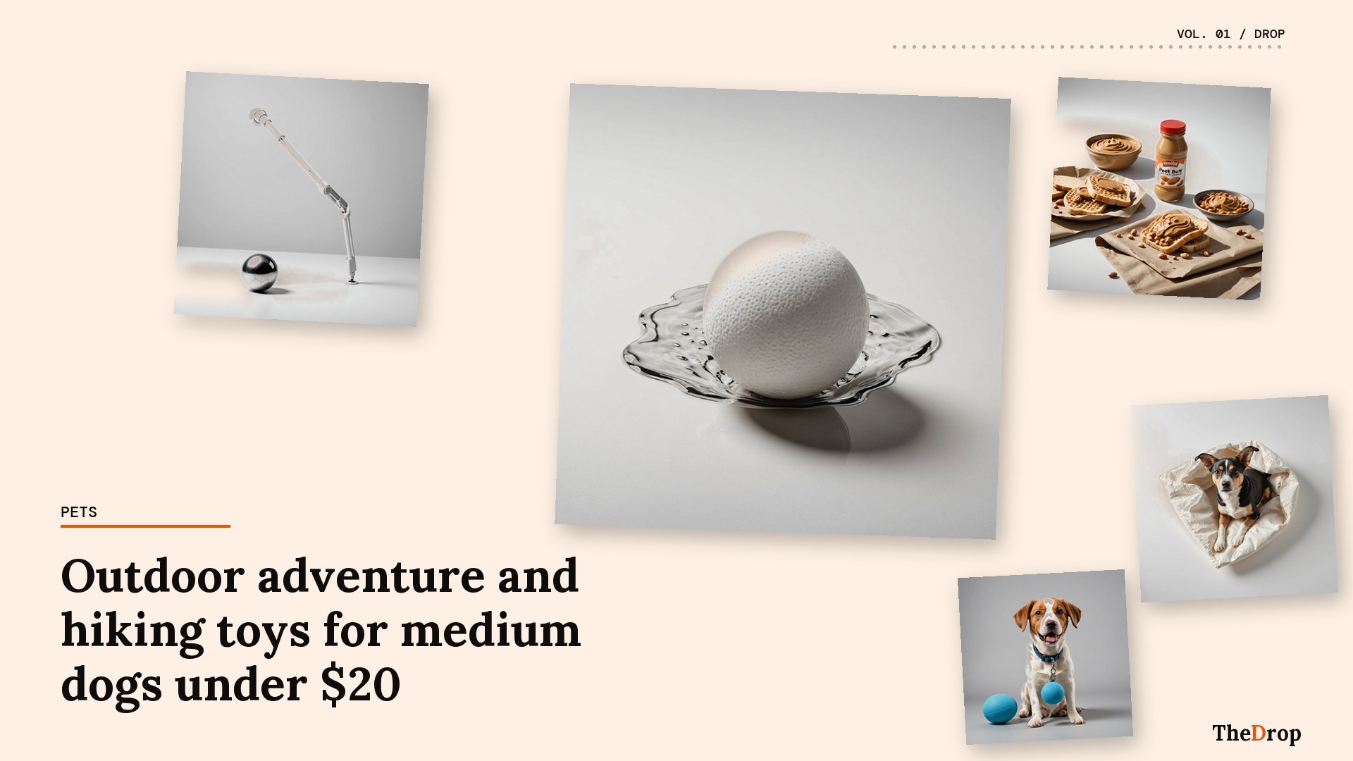Outdoor adventure and hiking toys for medium dogs under $20