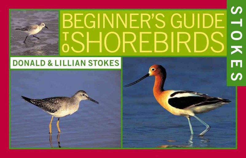 Audubon Society Stokes Beginner's Guide to Bird Feeding (Donald Stokes)
